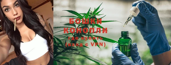 мяу мяу кристалл Покачи