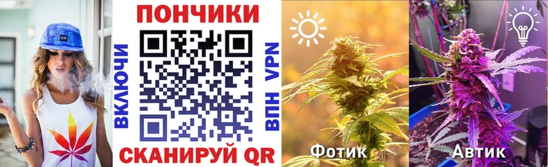 цена   Орехово-Зуево  Конопля семена 